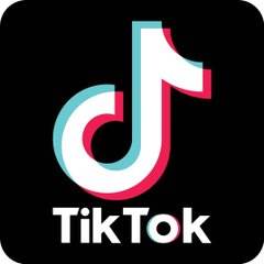 TikTok快速涨粉技巧